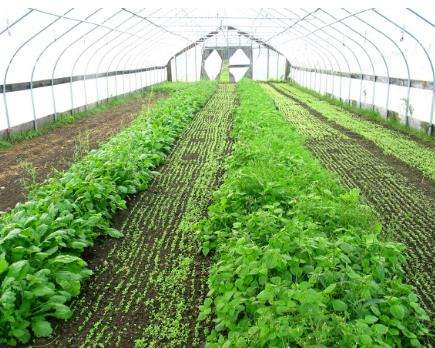 防水保溫被最重要的兩大優(yōu)點(diǎn)您了解嗎？