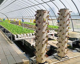 北京懷柔東方尚品魚(yú)菜共