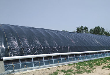 做溫室大棚有什么特別的注意事項(xiàng)嗎？